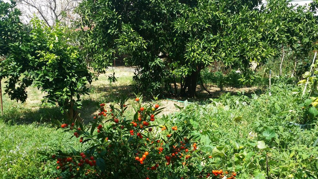 فندق Foivos لوترا إديبسو الغرفة الصورة